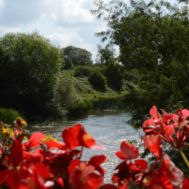 Newgrange Hotel