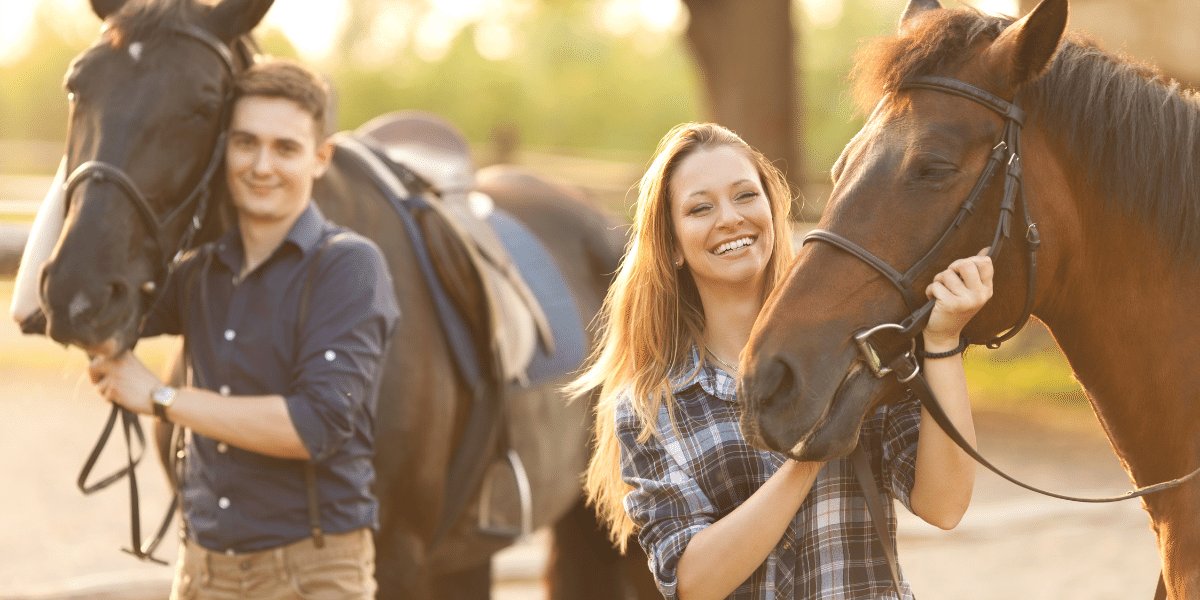 Horses in Irish History