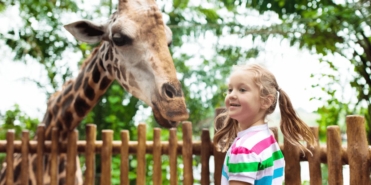 Family Fun at Newgrange Hotel